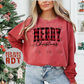 Merry Gingham Christmas
